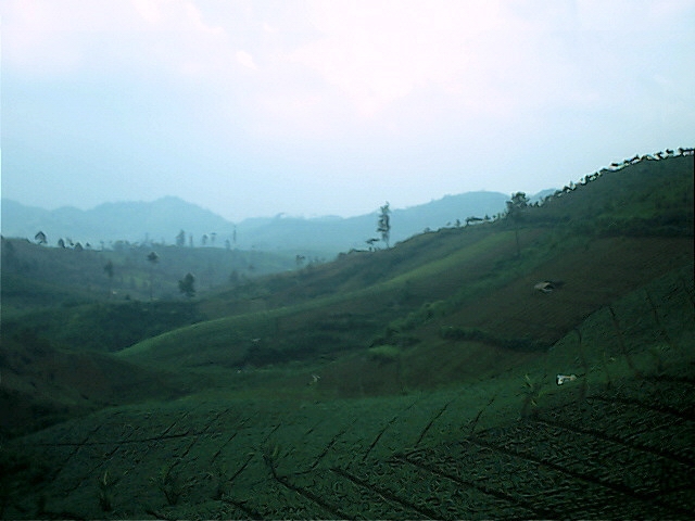 Survey PenDas KF Gunung Hutan - 057.jpg