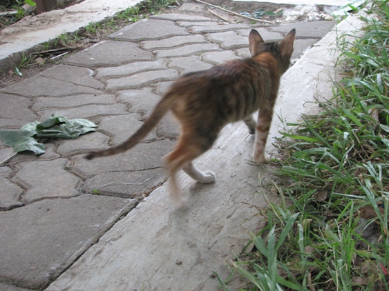 IMG_0444.jpg