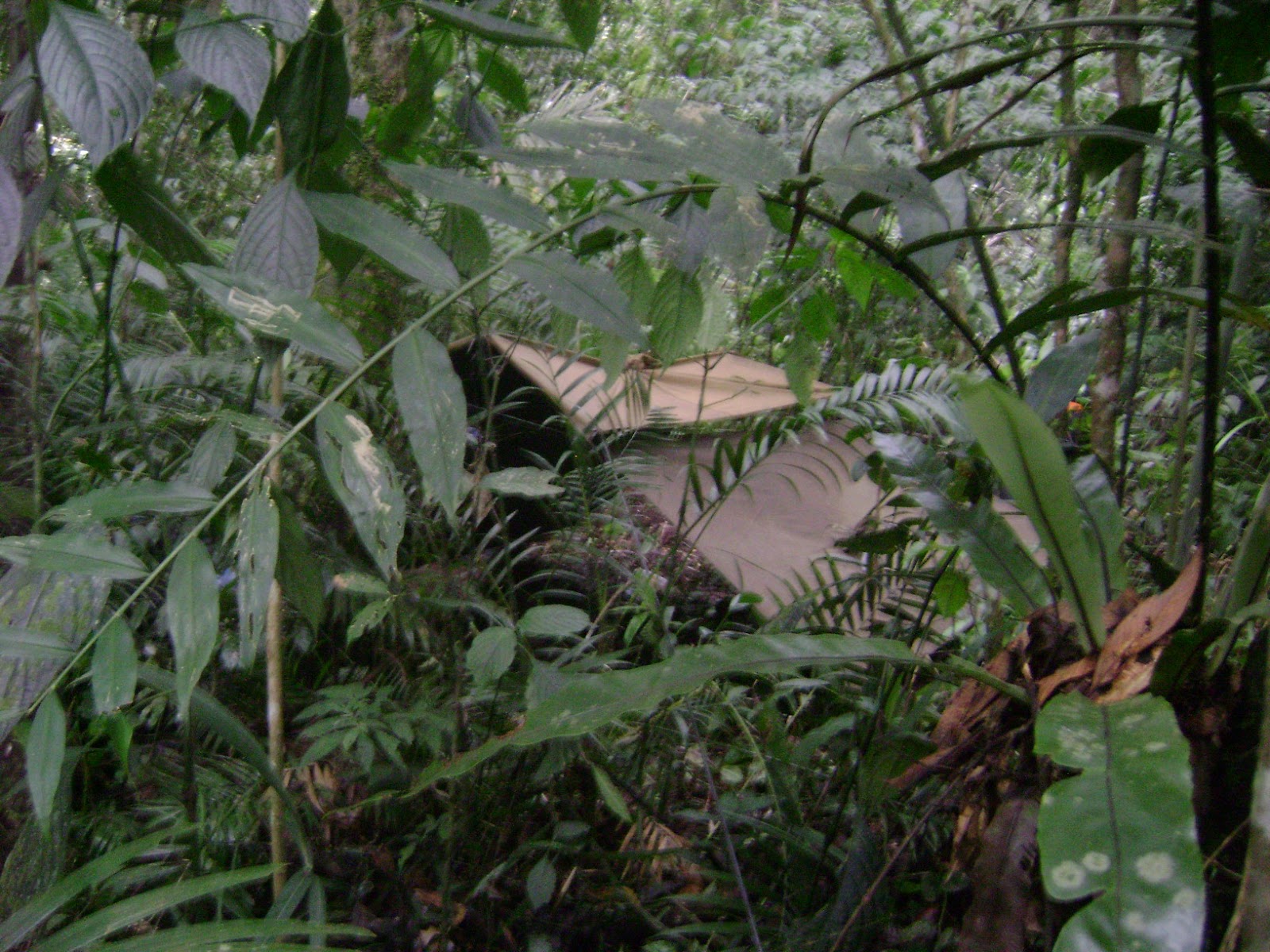DSC07916.JPG
