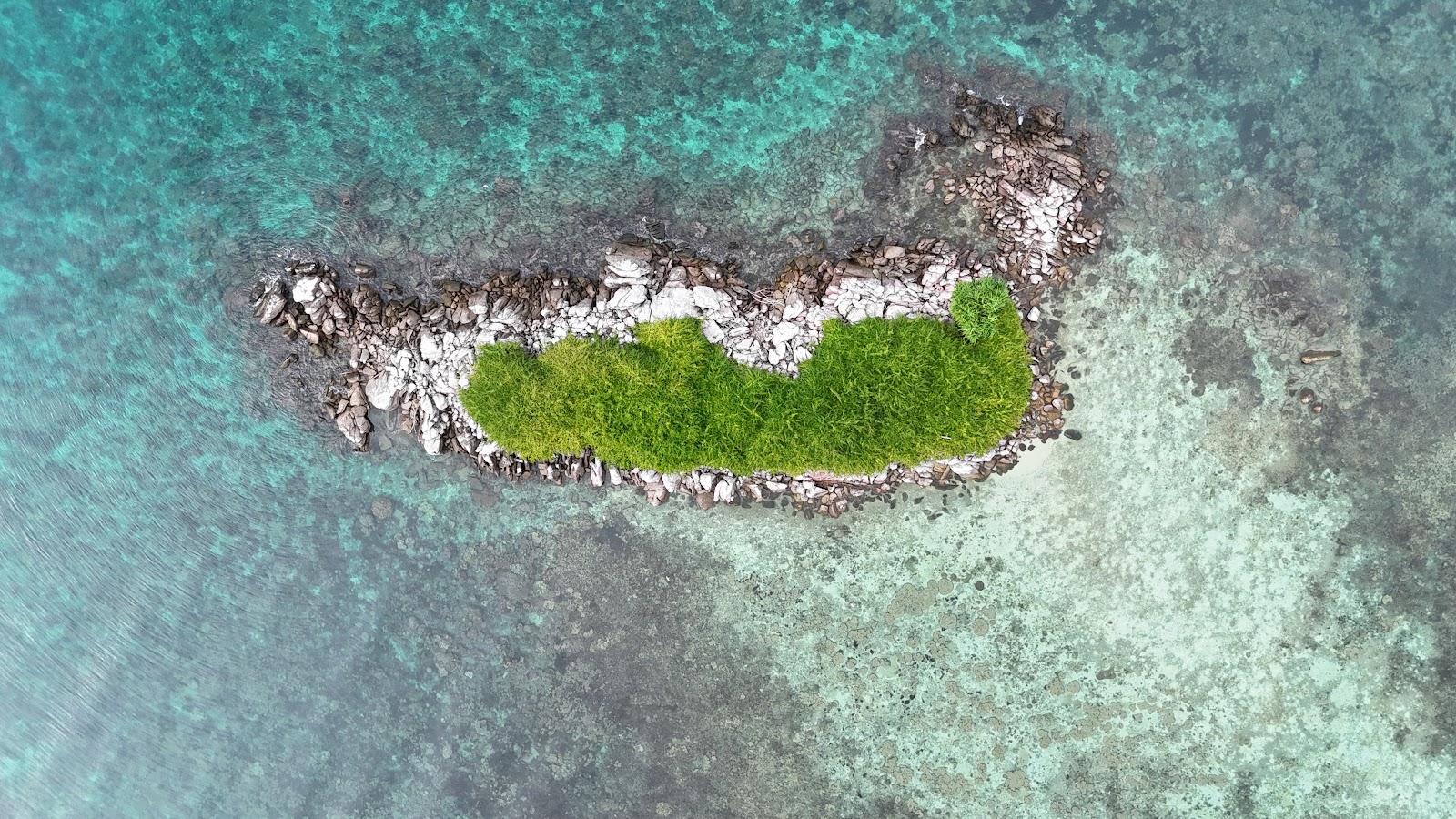 DJI_20250512090748_0093_D.JPG