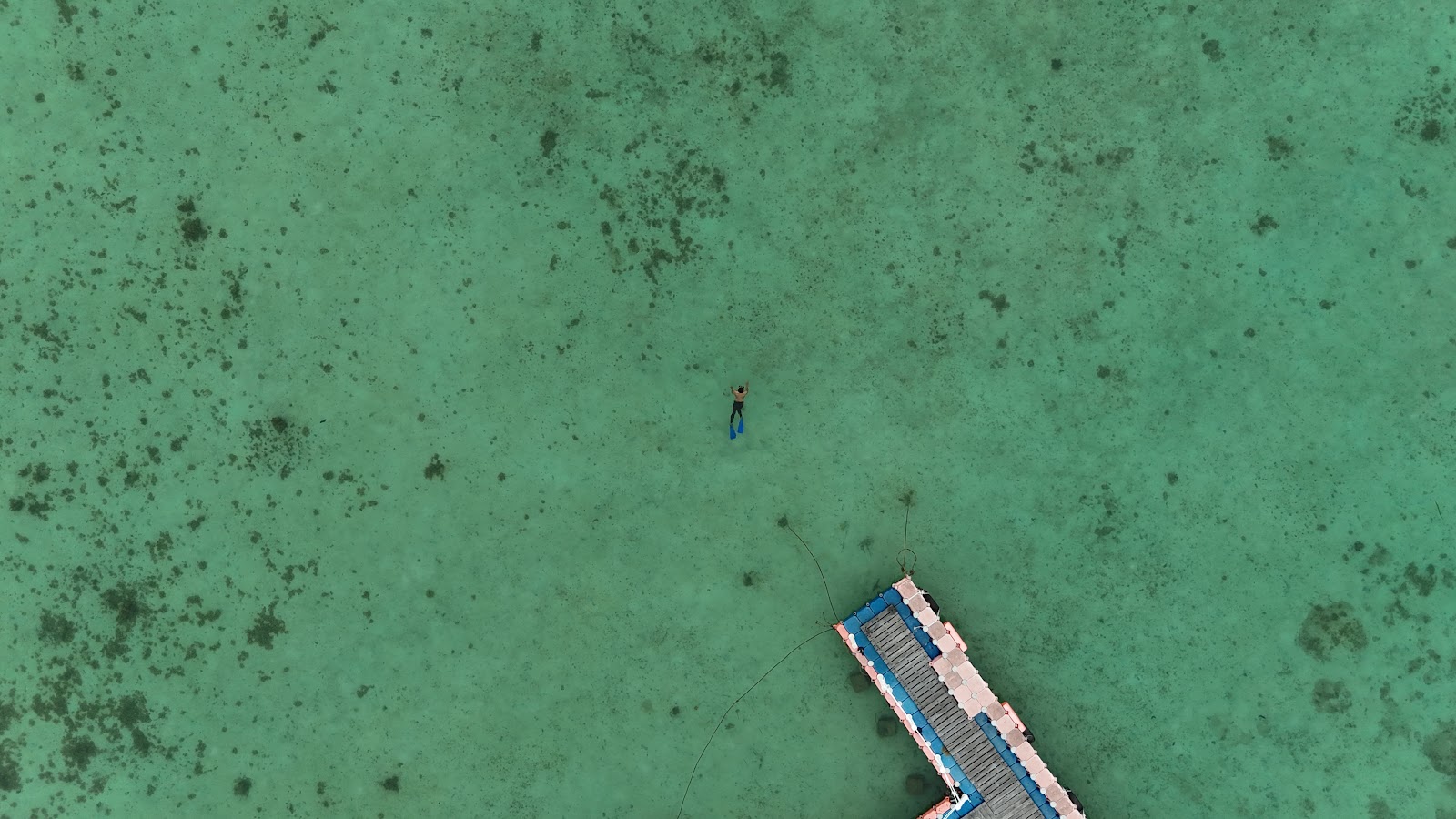 DJI_20250512073810_0083_D.JPG