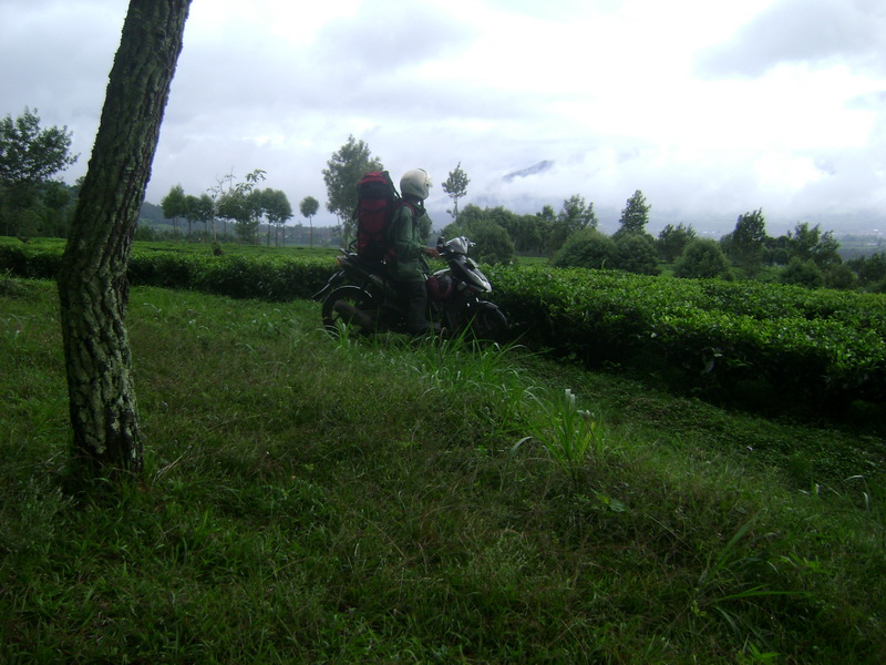 DSC04994.JPG