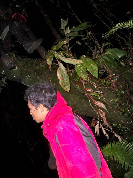 100_2412.JPG