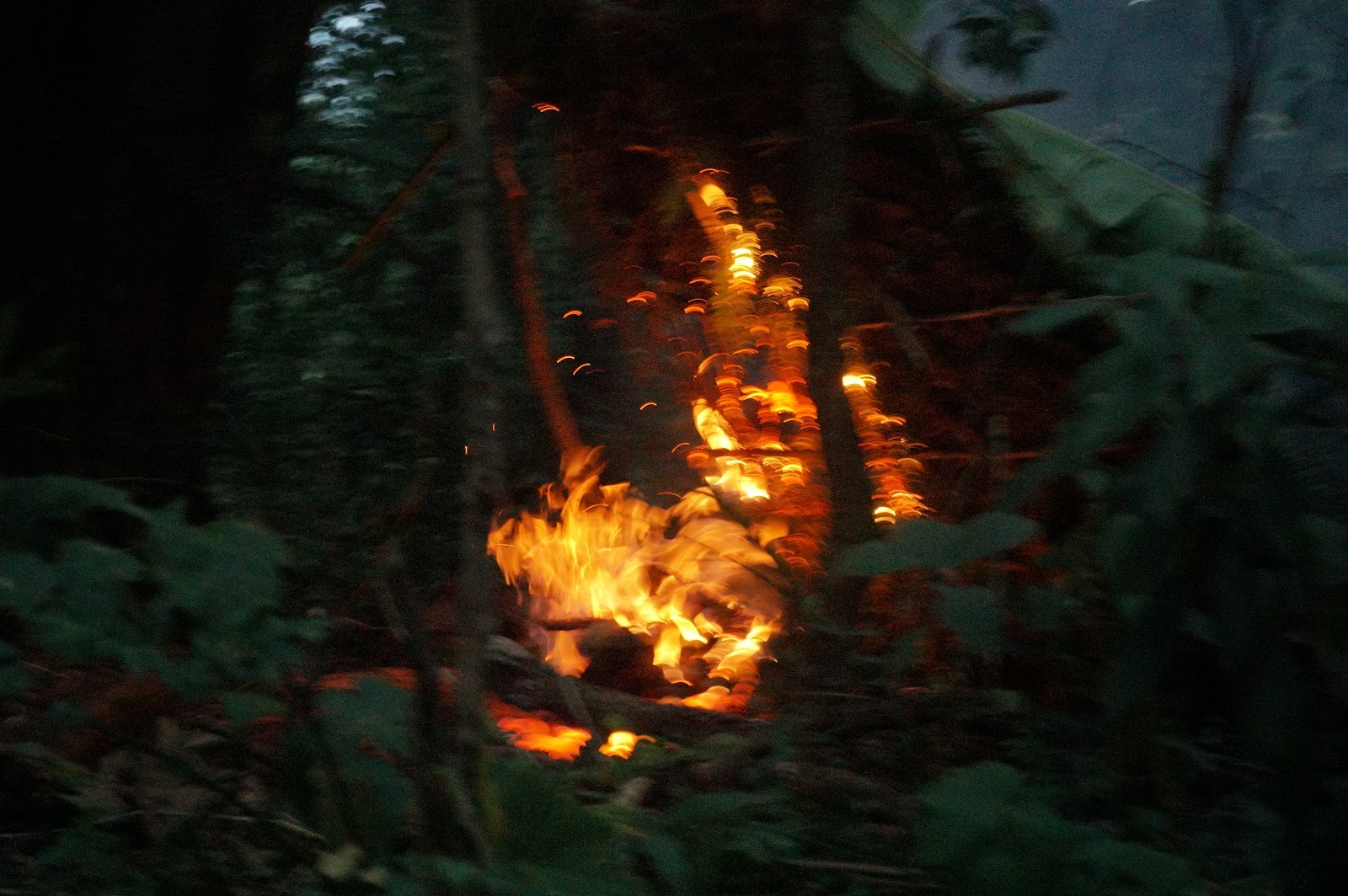 LDK00538.JPG