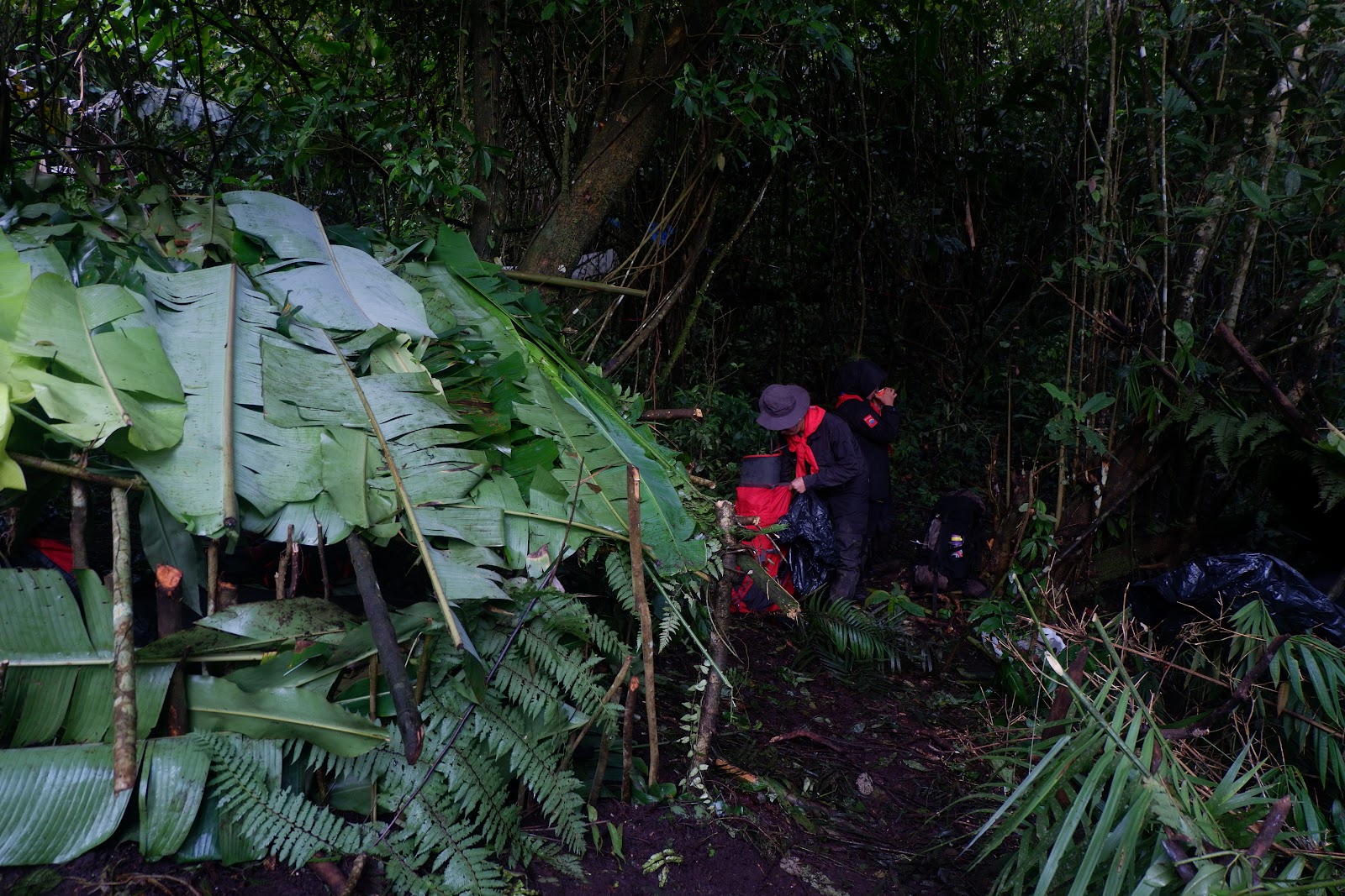 DSCF6498.JPG