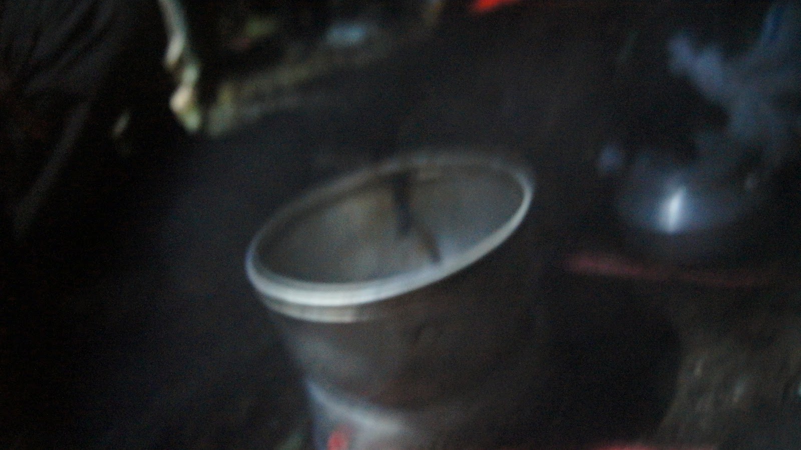 DSC04170.JPG