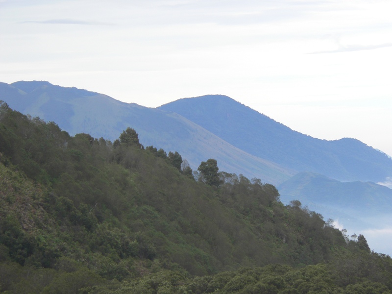 P1100847.JPG