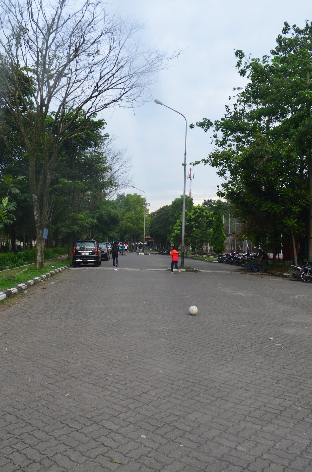 DSC_0779.JPG