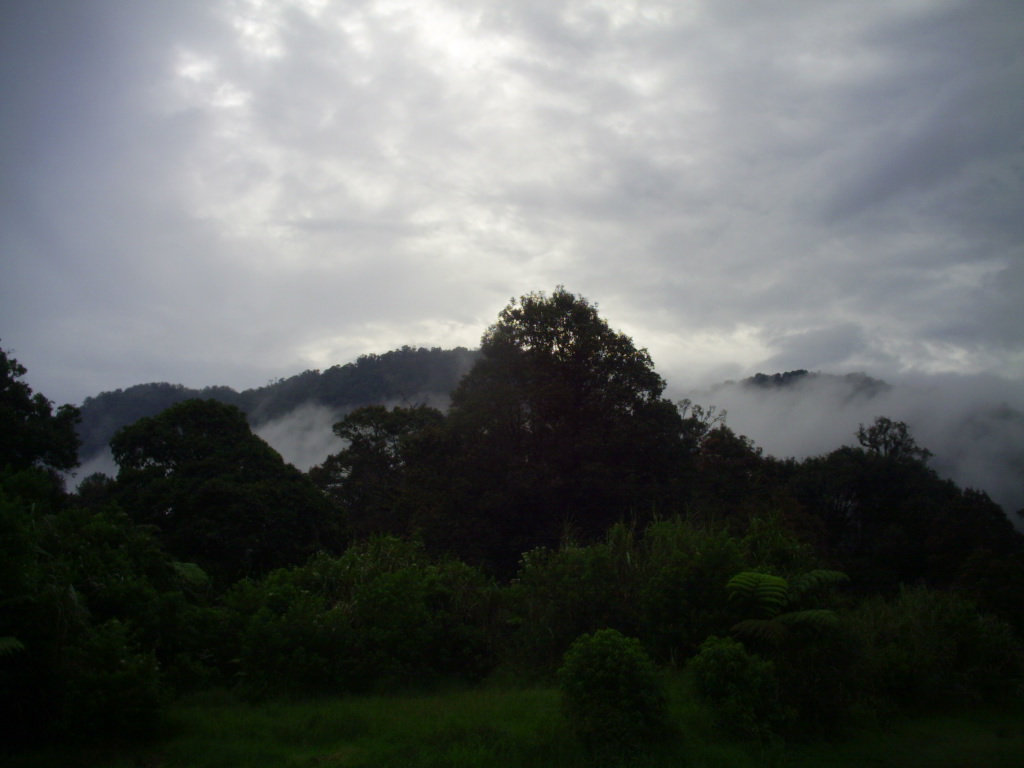S3020067.JPG