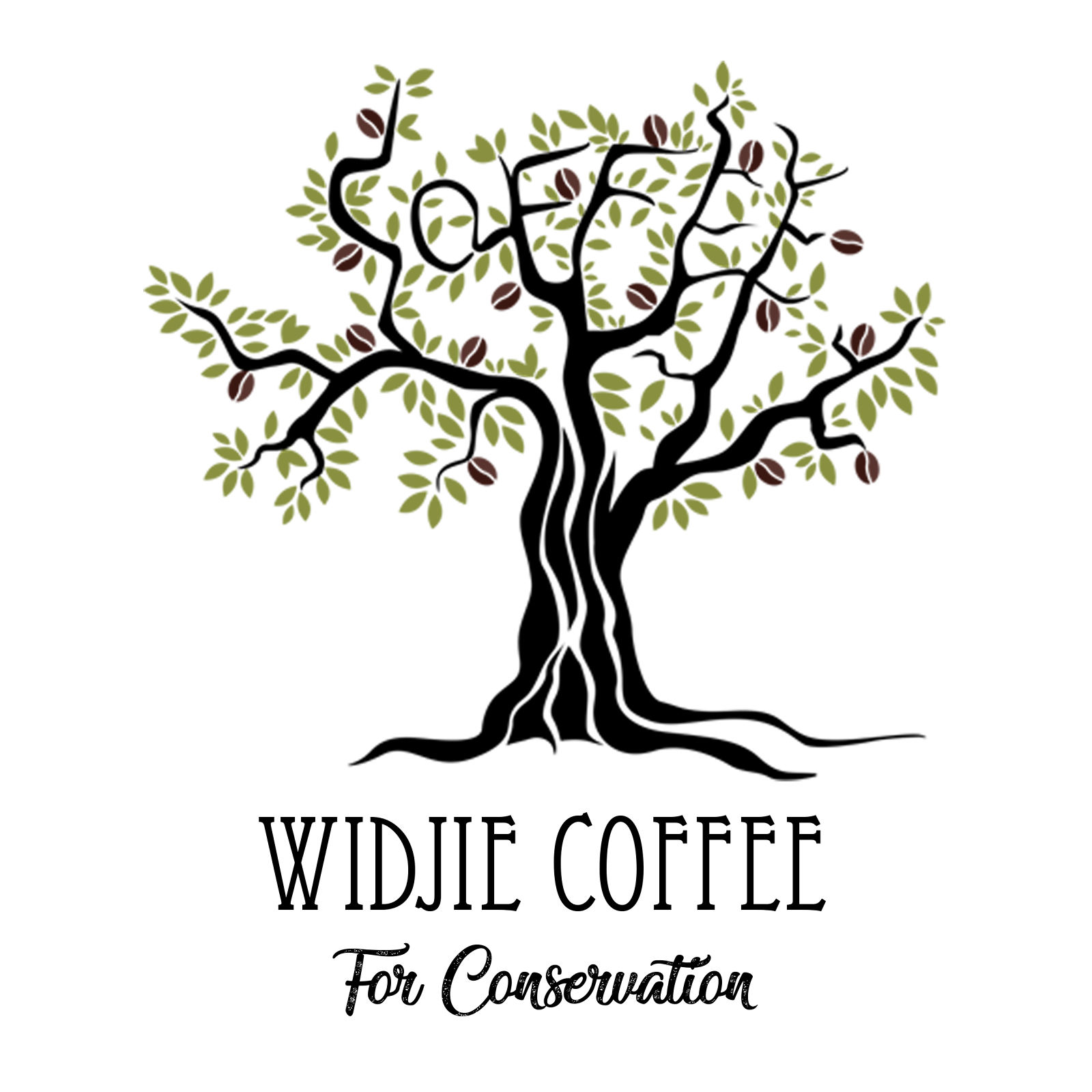 Untitled-1.png