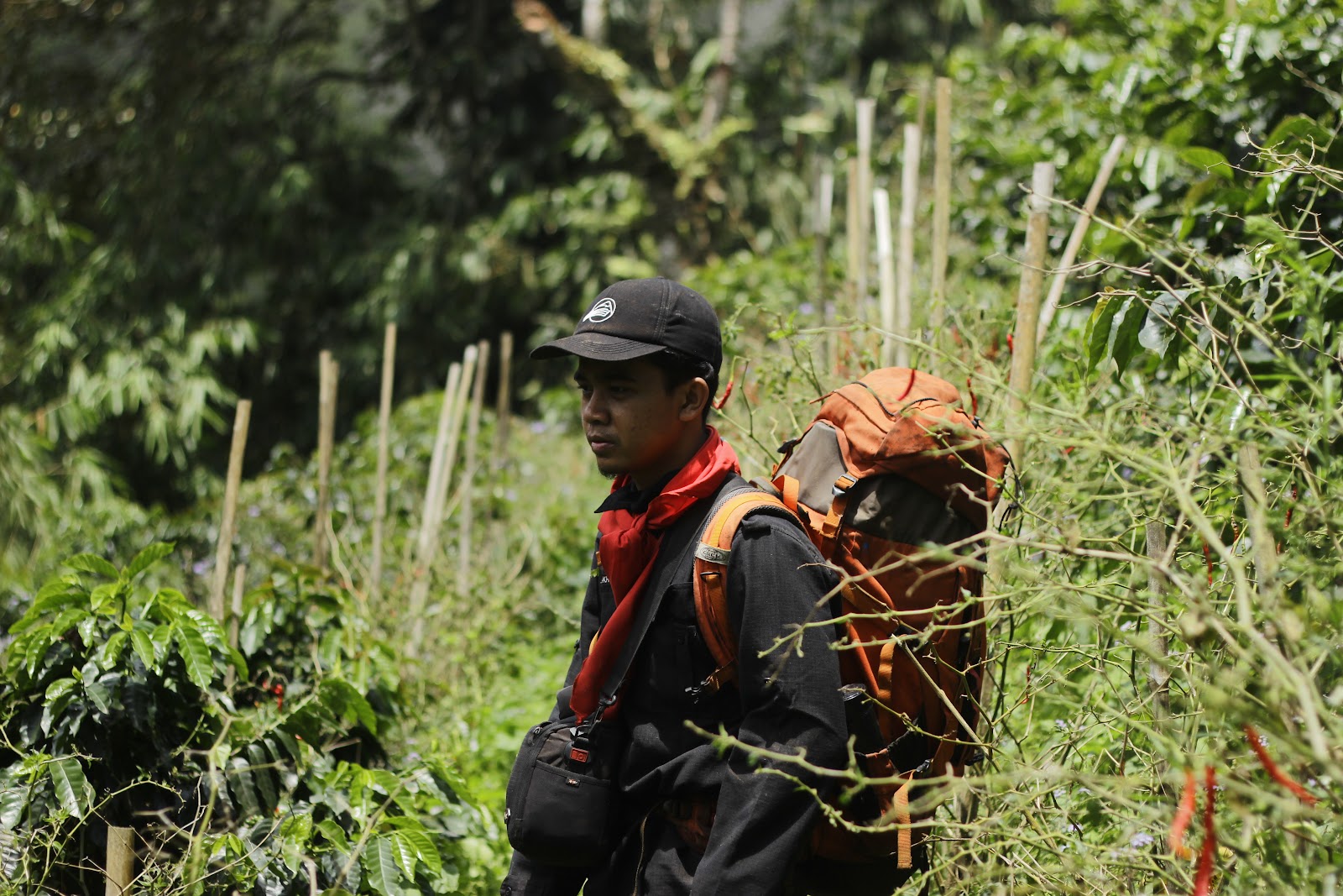 _MG_6640.JPG
