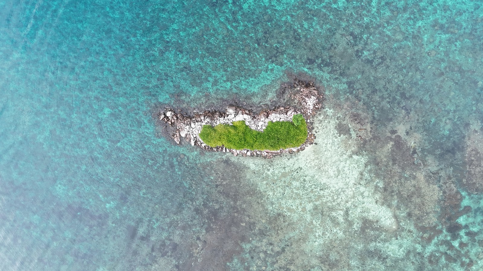 DJI_20250512091000_0099_D.JPG