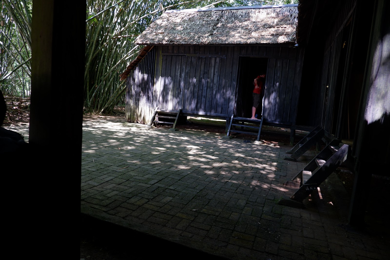 DSCF2131.JPG