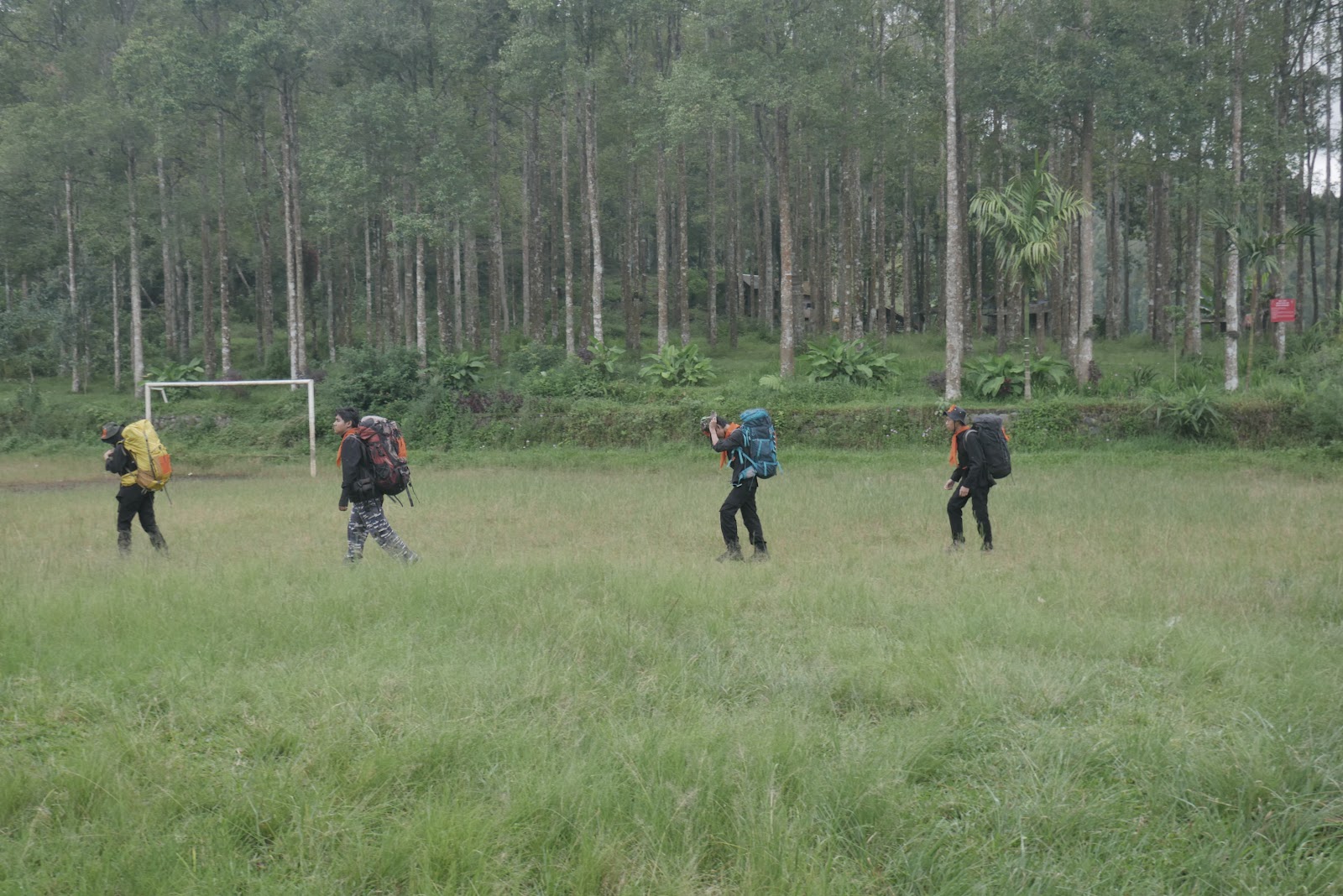P2070431.JPG