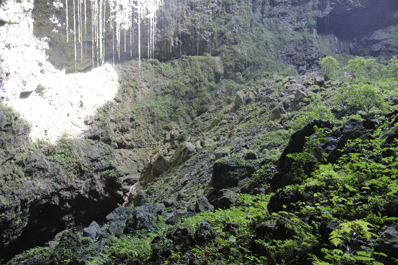 _MG_0385.JPG