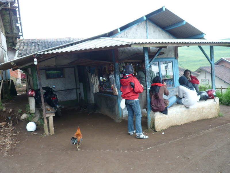 P1040892.JPG