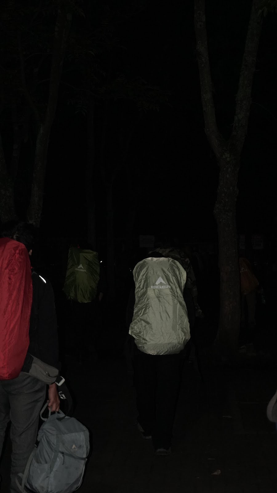 DSC02416.JPG