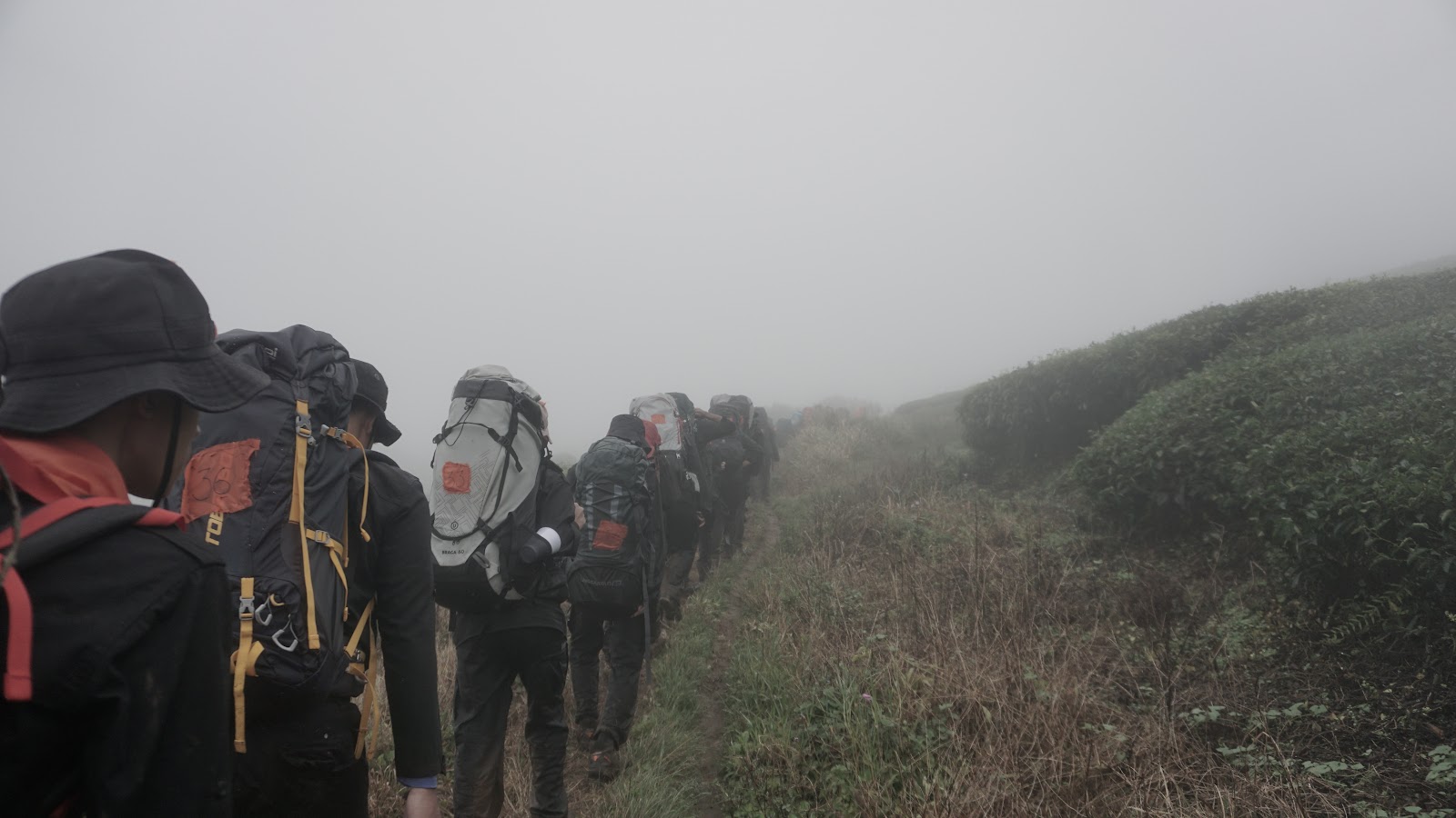 DSC08908.JPG