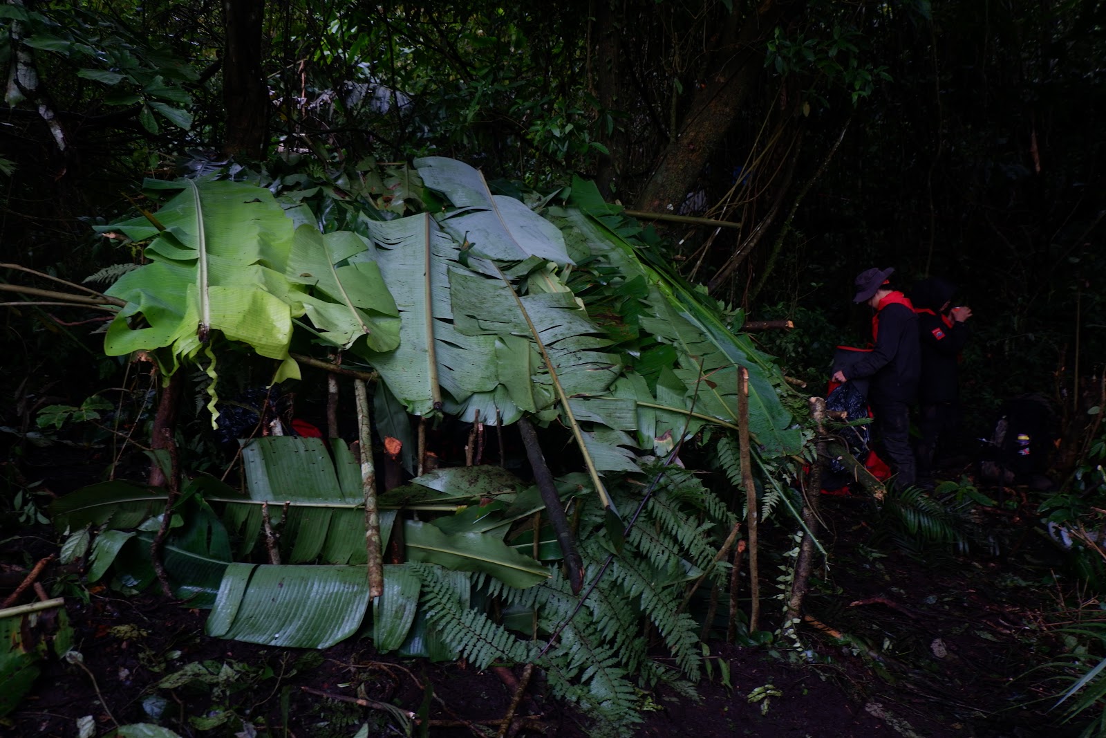 DSCF6497.JPG