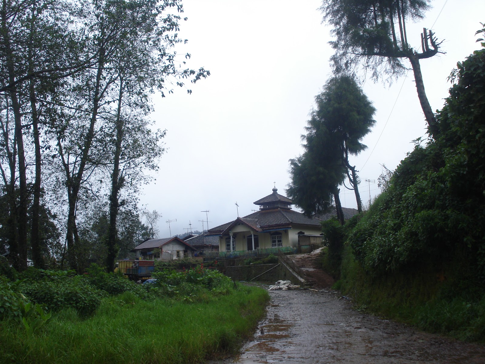 DSC05166.JPG