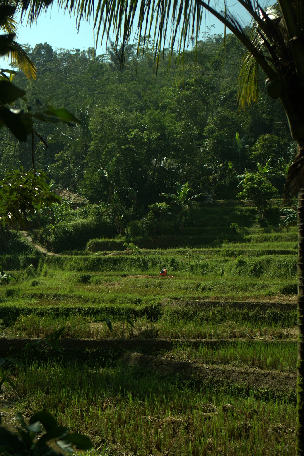 DSC02939.ARW