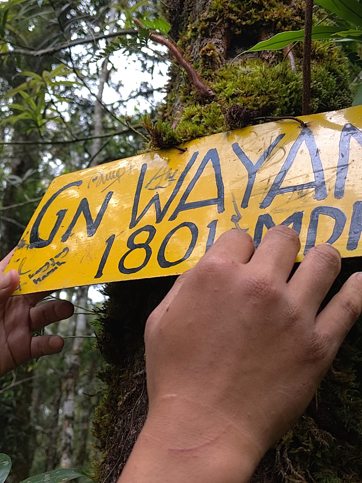 RA_20251228_110123_lmc_8.4.jpg