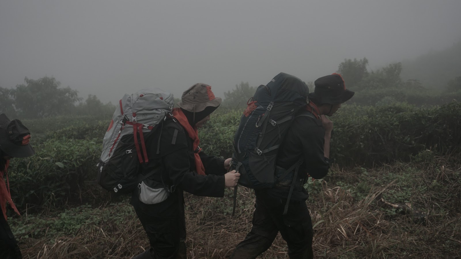 DSC08909.JPG