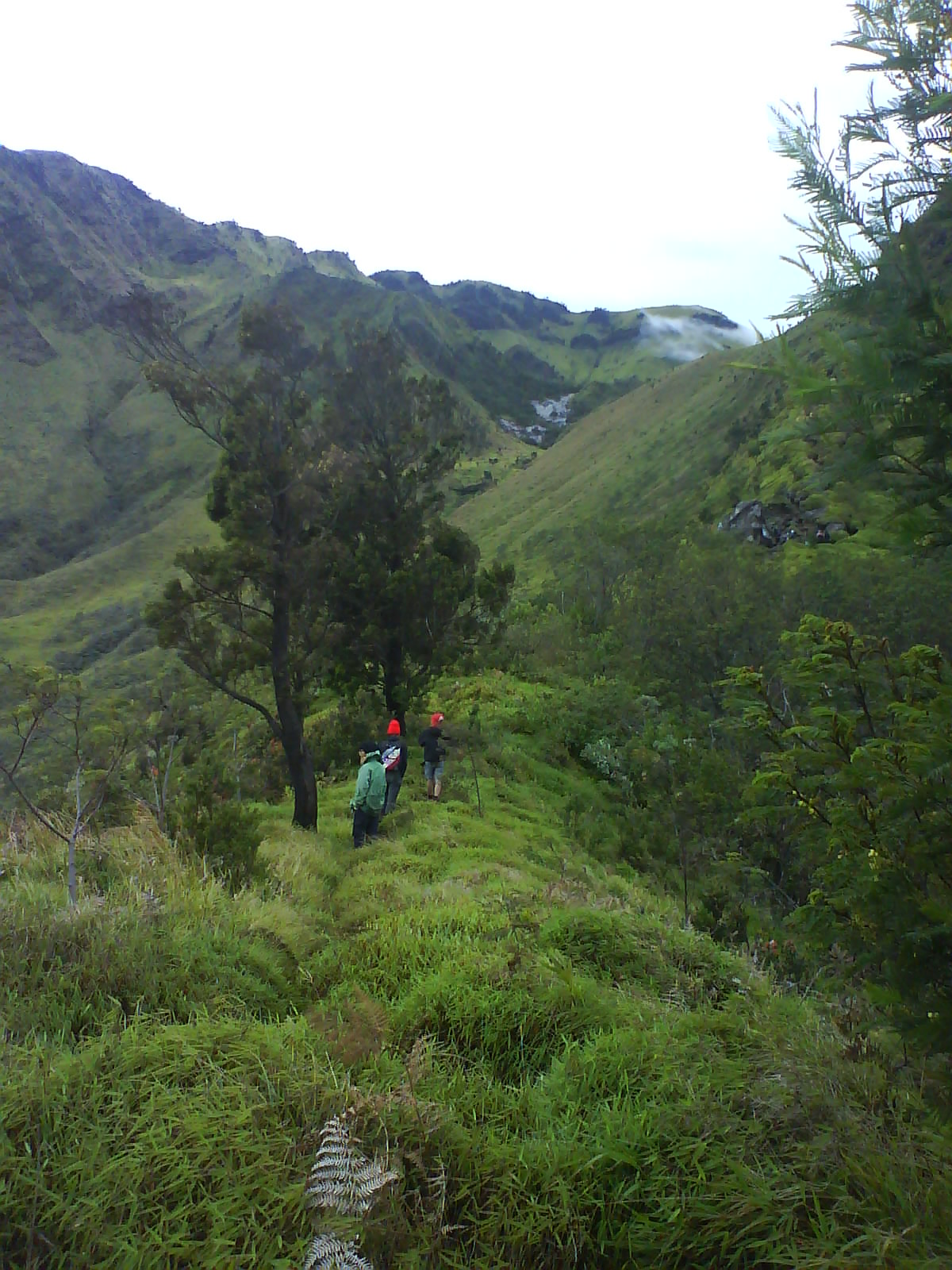 DSC01614.JPG