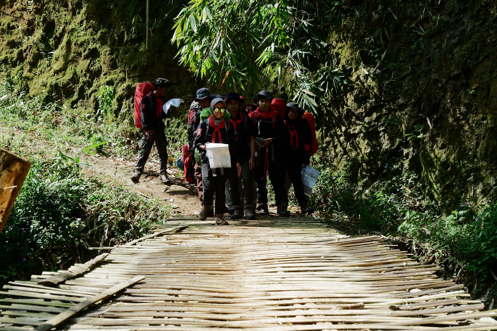 DSCF6446.JPG