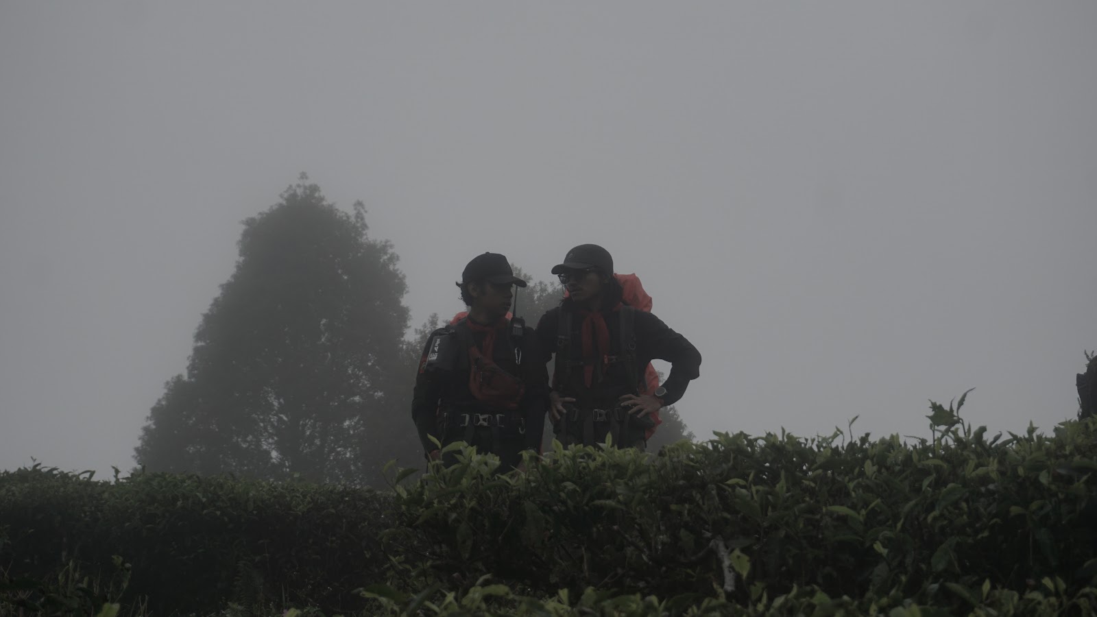 DSC08918.JPG
