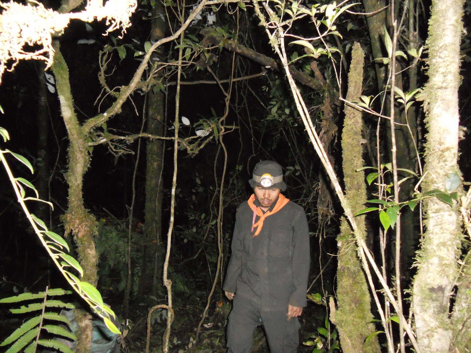 DSCN1522.JPG