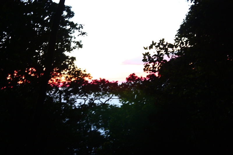 IMG_1673.JPG
