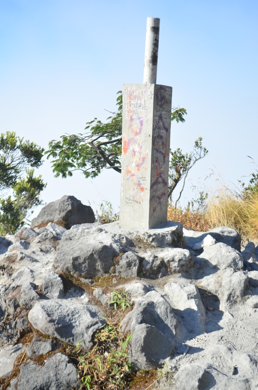 DSC_0039.JPG