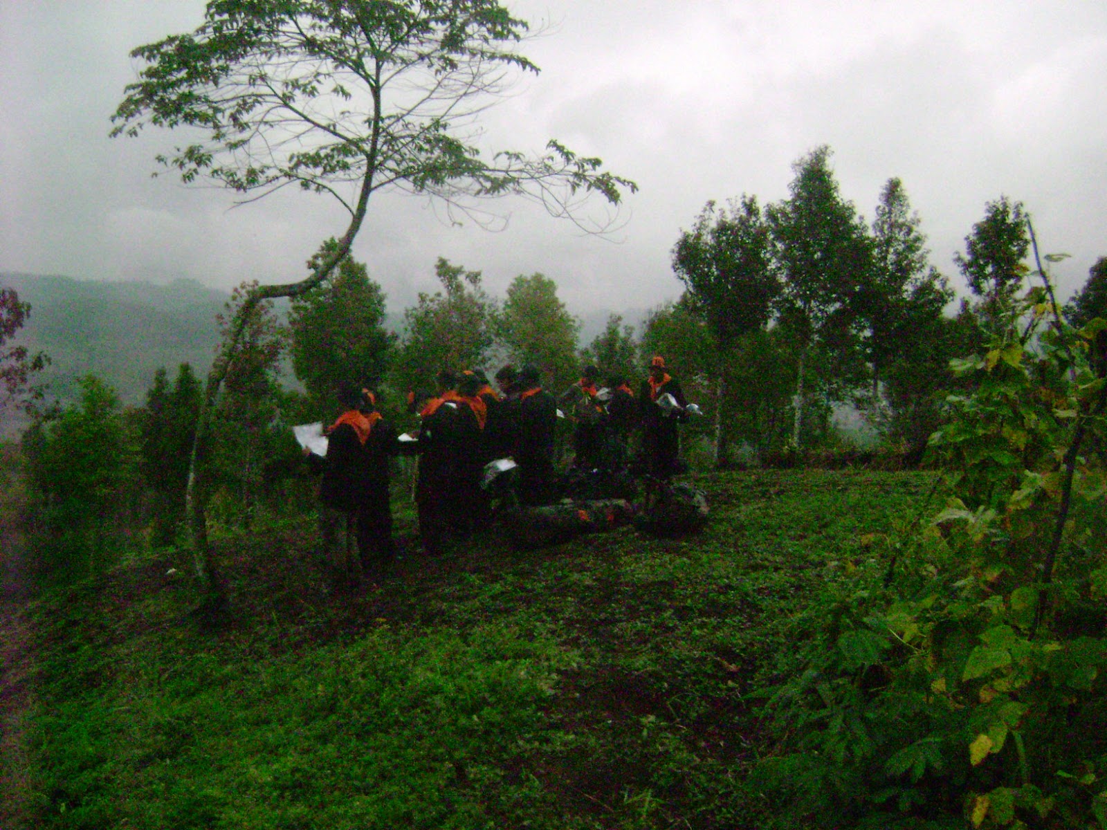DSC07849.JPG