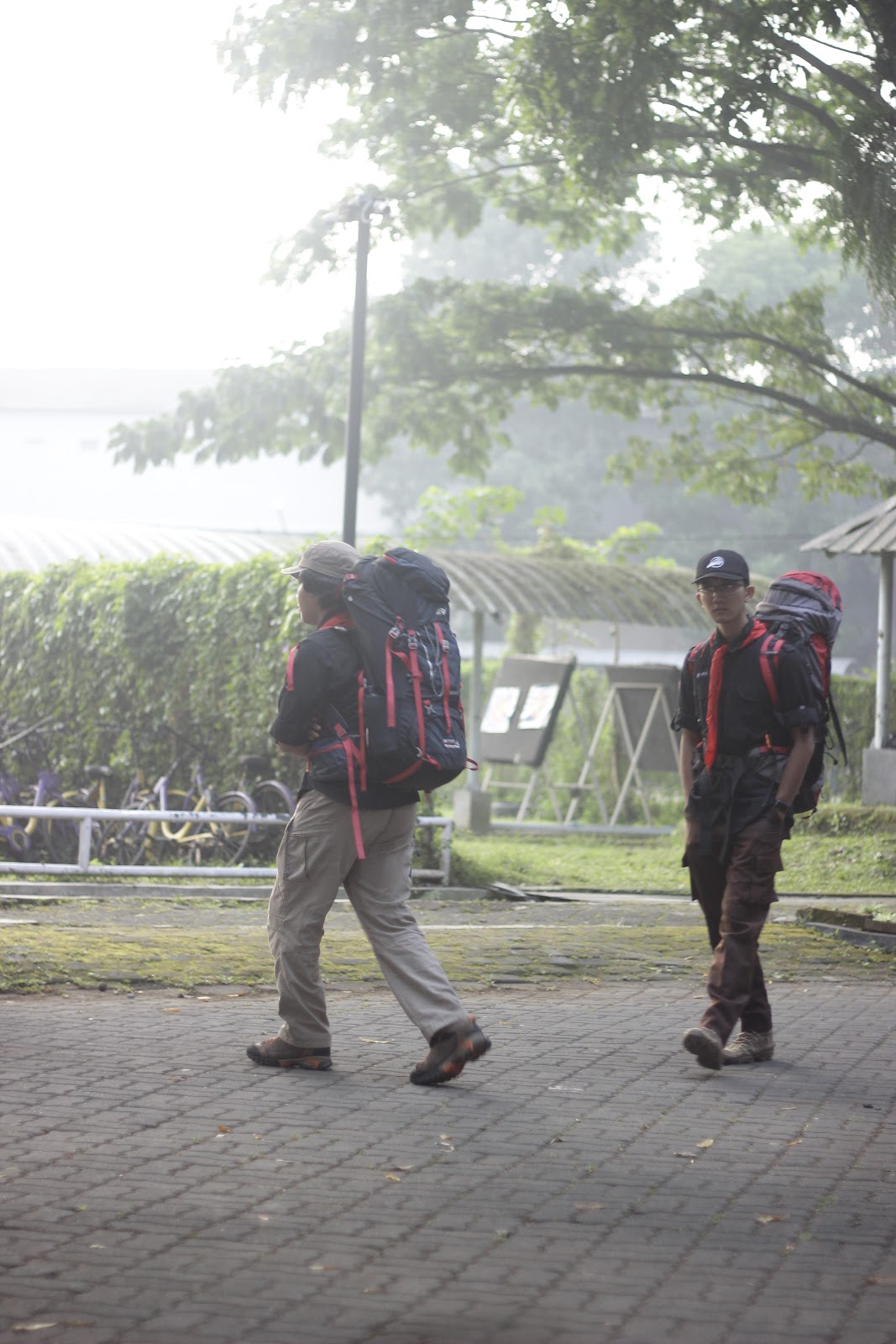 _MG_6507.JPG