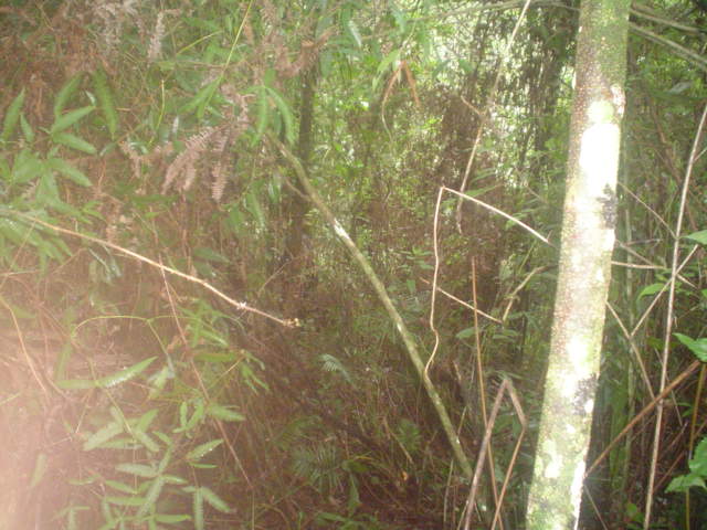 DSC02843.JPG
