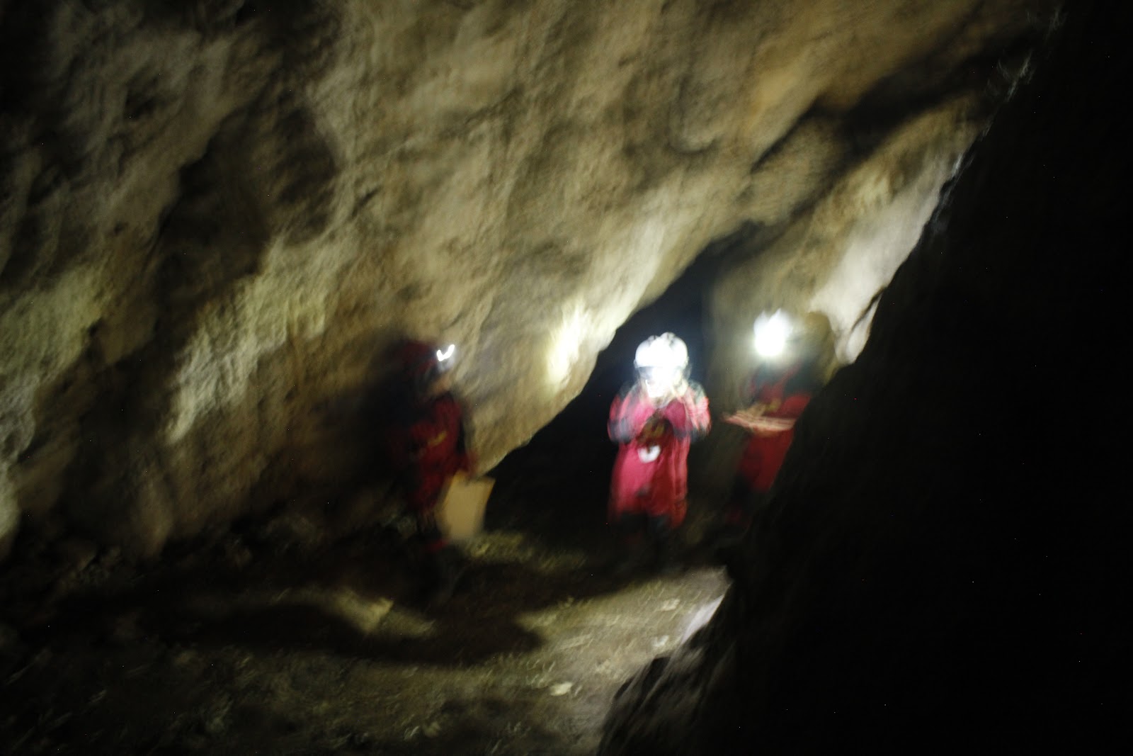 _MG_8727.JPG