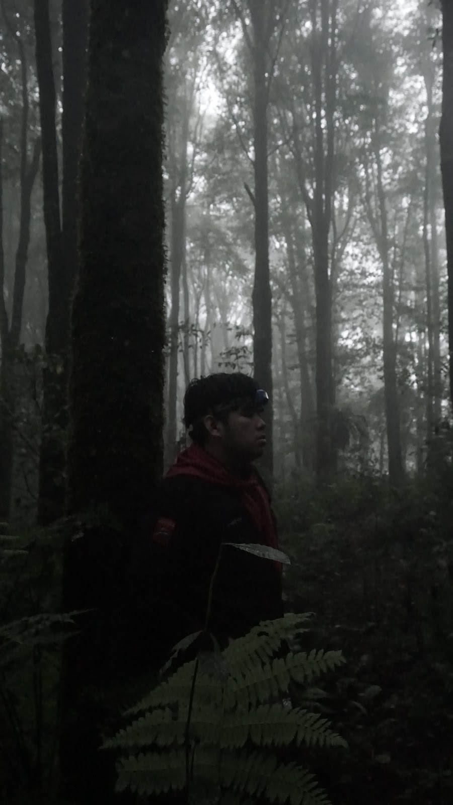 DSC09037.JPG