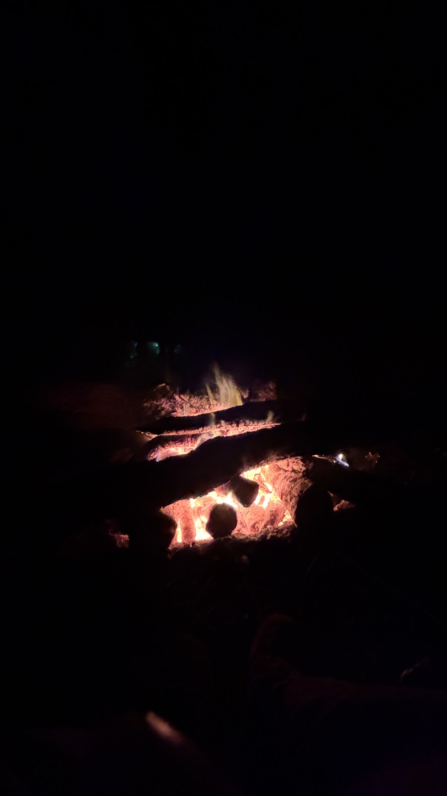 IMG_6673.JPG