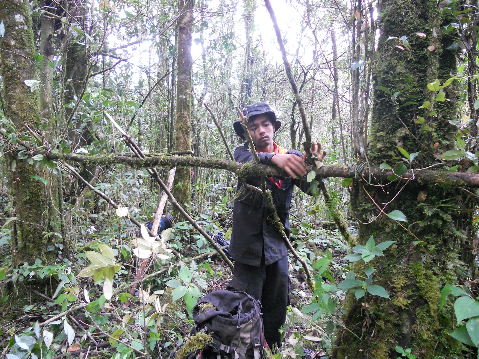 DSCN1447.JPG