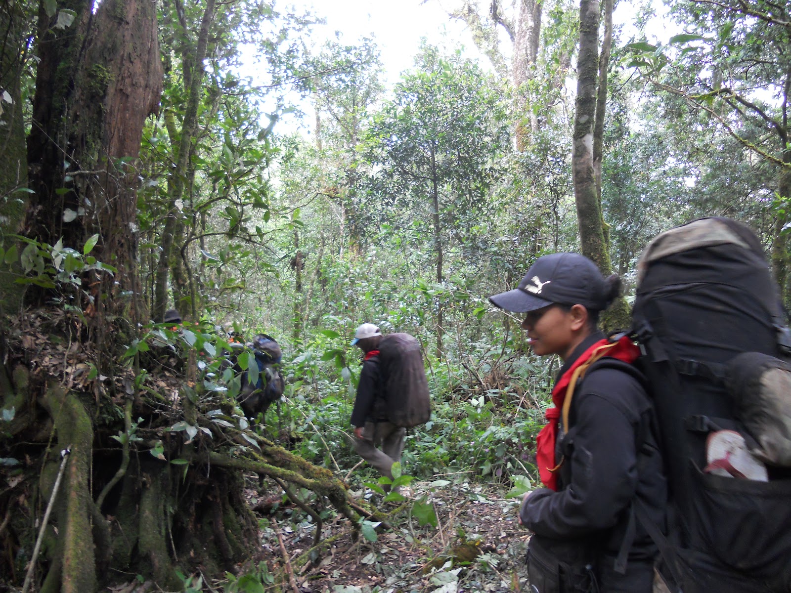 DSCN1546.JPG