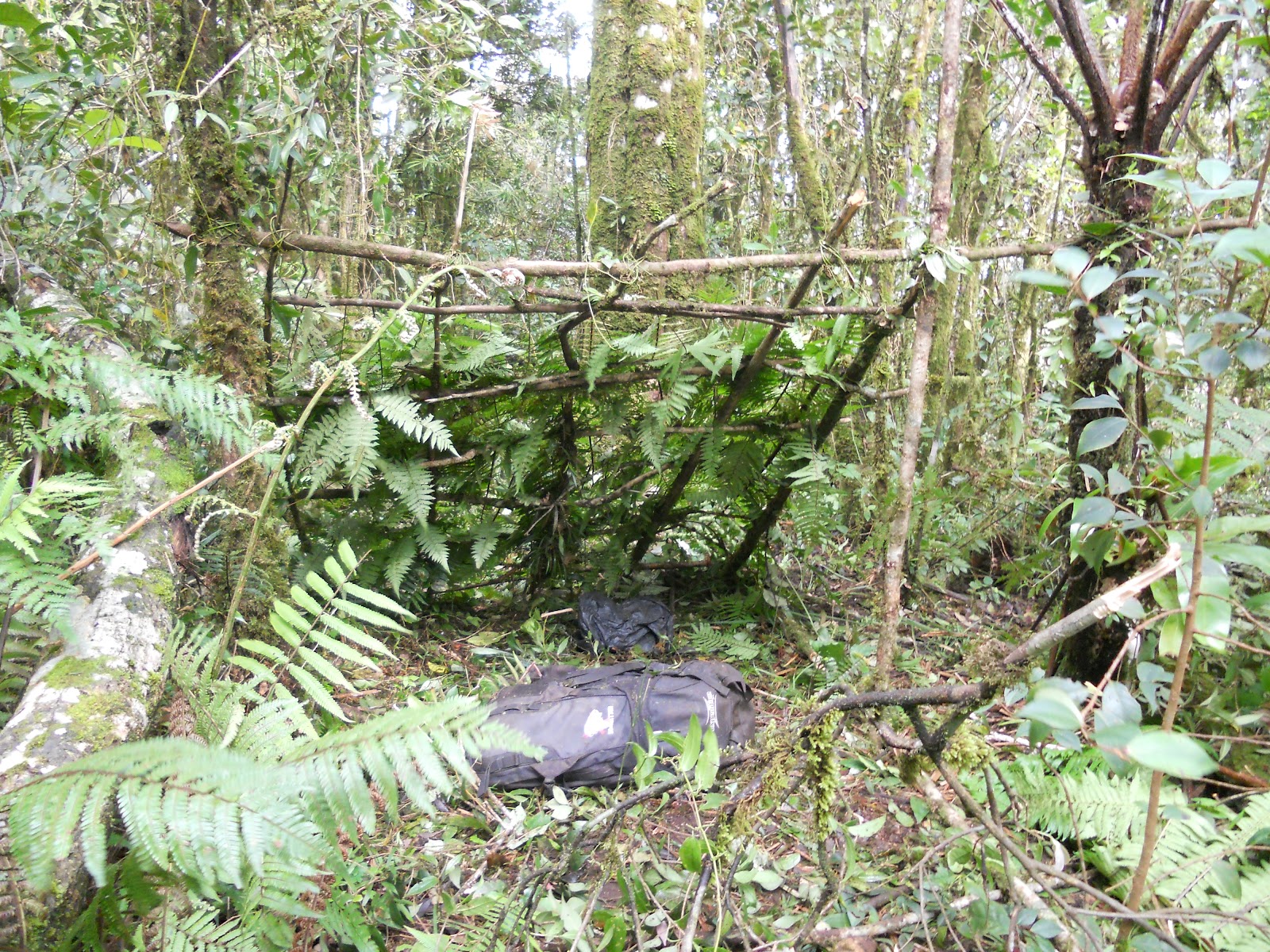 DSCN1474.JPG
