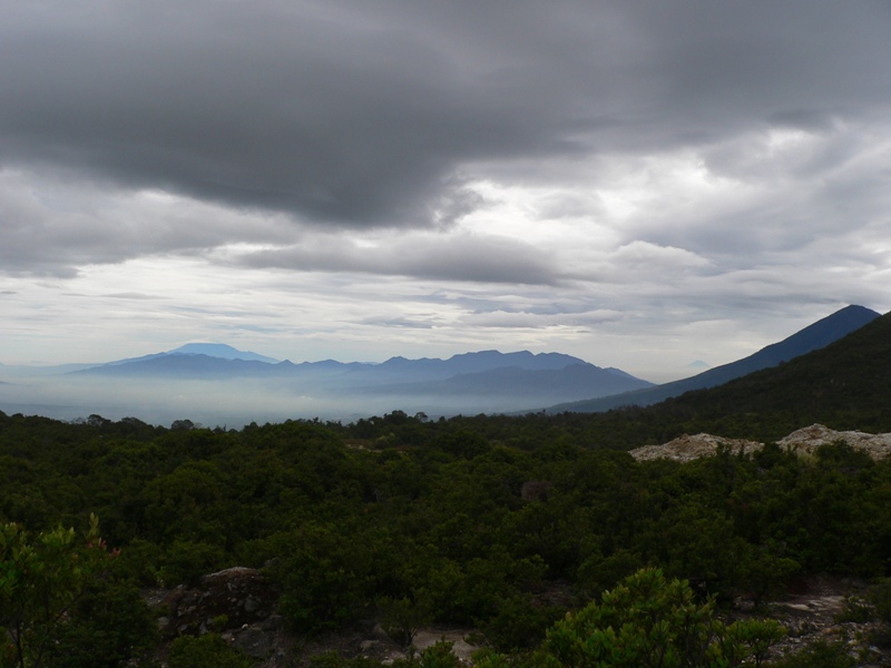 P1100846.JPG