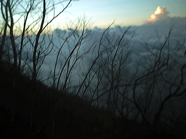 IMG_0097.jpg