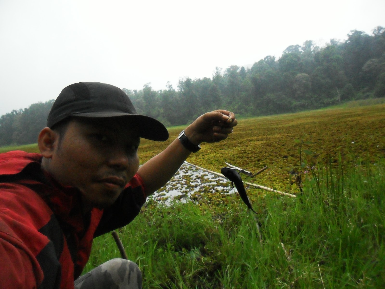 SAM_0743.JPG