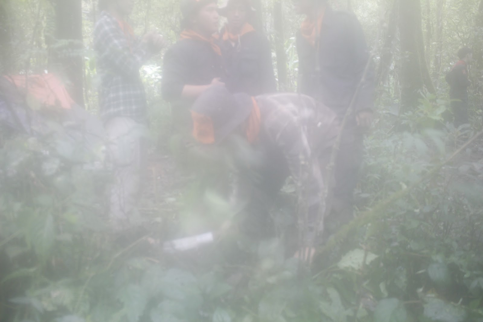 _MG_4044.JPG