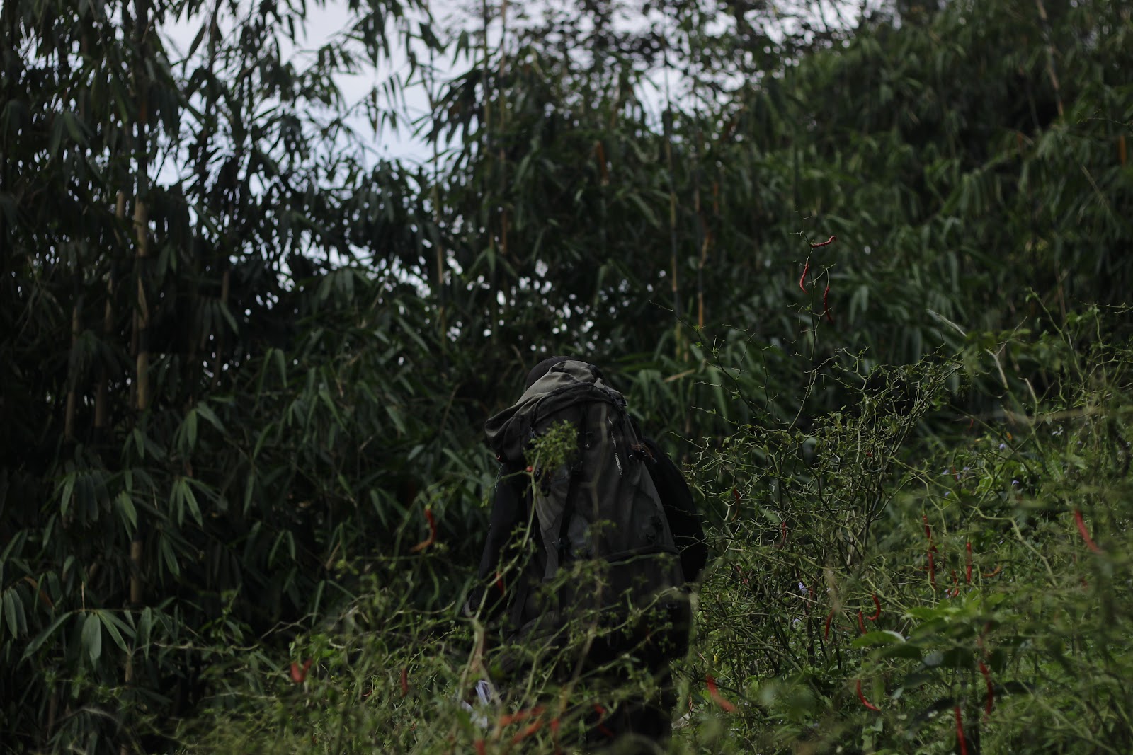 _MG_6643.JPG