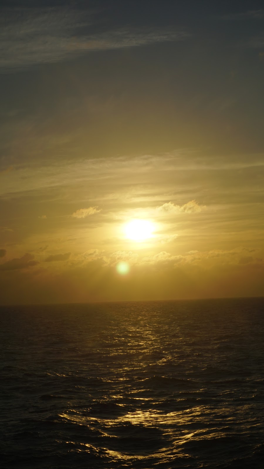 DSC02822.JPG