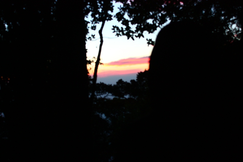 IMG_1687.JPG