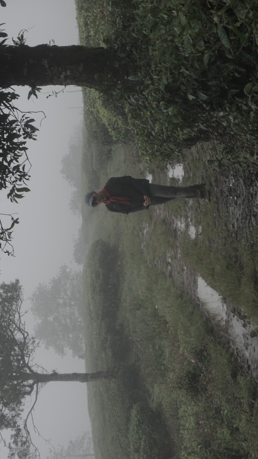 DSC08952.JPG